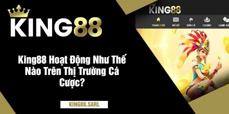 Chính Sách Bảo Mật king88 - Giải Thích Mọi Điều Khoản 1 King88 Hoạt Động Như Thế Nào Trên Thị Trường Cá Cược?